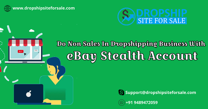 Do Non Sales In Dropshipping Business With eBay Stealth Account