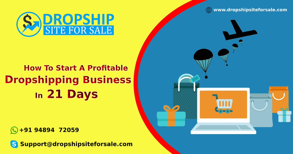 How to Start a Profitable Dropshipping Business in 21 Days