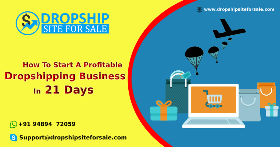 How To Start A Profitable Dropshipping Business in 21 Days